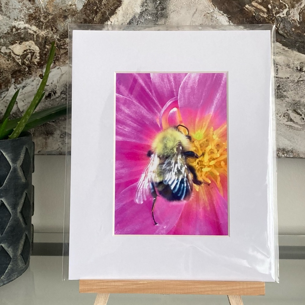❌SOLD❌”BUMBLE AND GUMBALL” ~ ORIGINAL ART by ~ @lisamichellebeckerphotography - Picture 9 of 13
